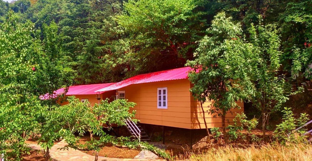 Aaroham Resort, Шимла Екстериор снимка